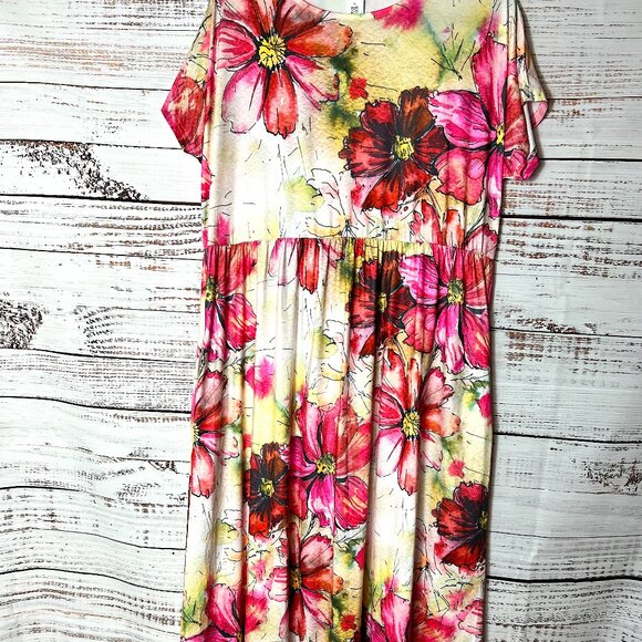 Pink Daisy NWT Floral Maxi dress size 1X - Picture 1 of 3